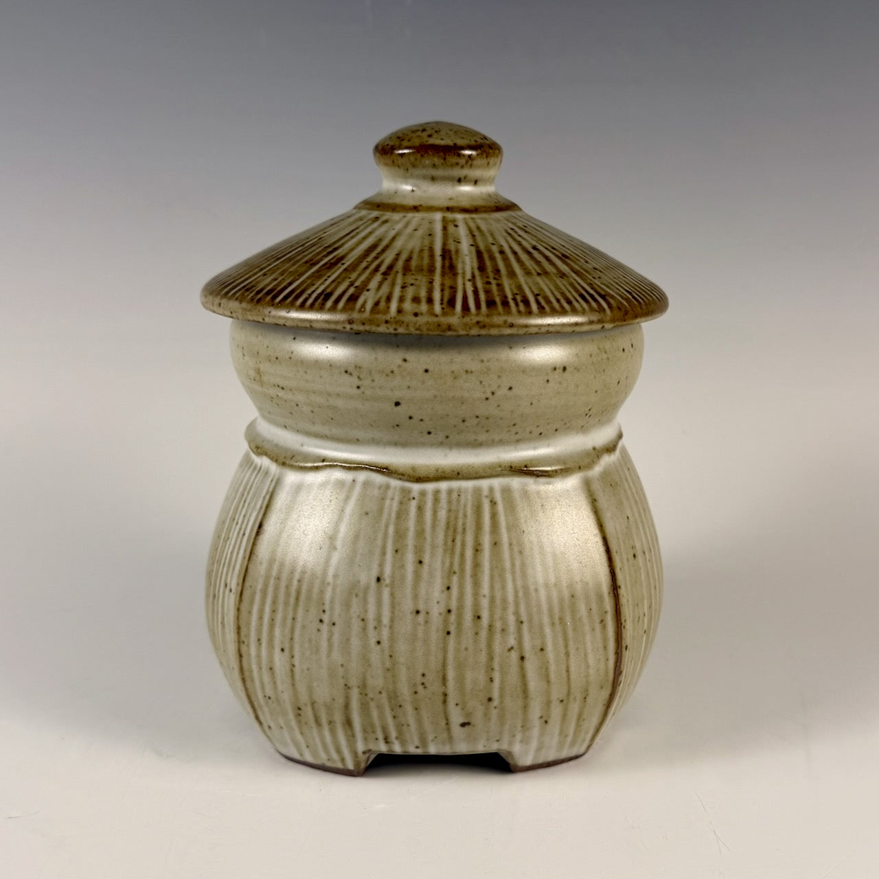 Steve Rolf covered jar
