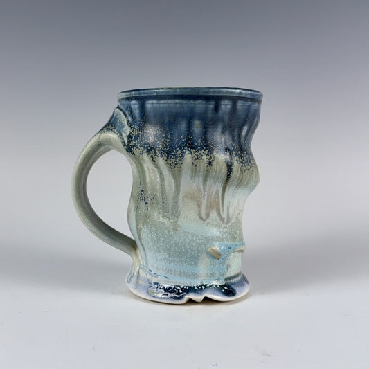 Steven Hill mug