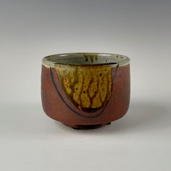 Sandra Shaughnessy chawan